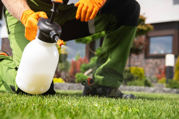 Best Best Pest Control Companies  in Kinsley, KS