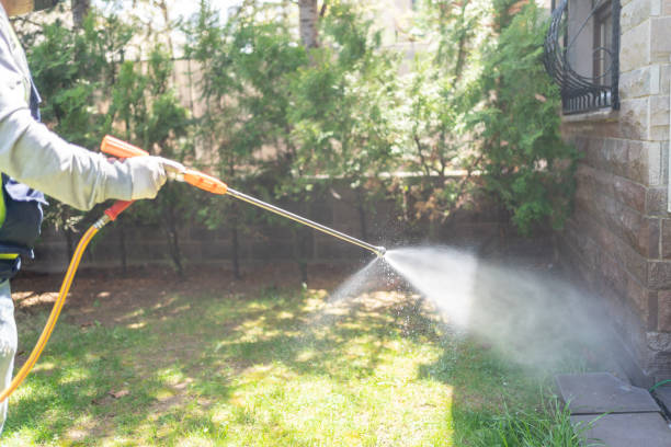 Best Affordable Pest Control Services  in Kinsley, KS