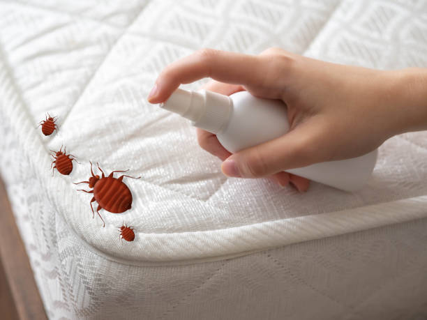 Best Exterminator Services  in Kinsley, KS